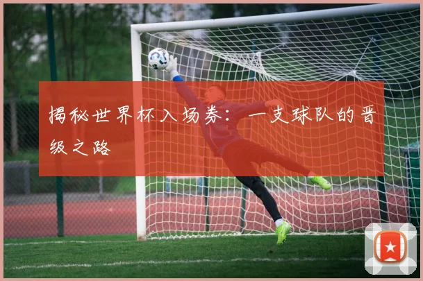 揭秘世界杯入场券：一支球队的晋级之路